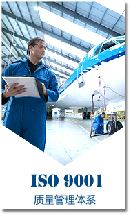 ISO 9001�wϵ�J(r��n)�C