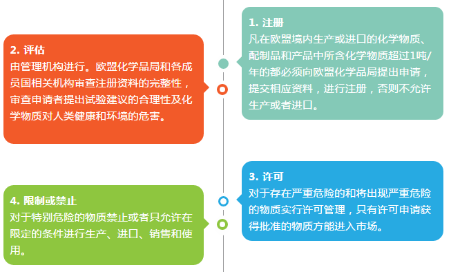 REACH�z�y(c��)