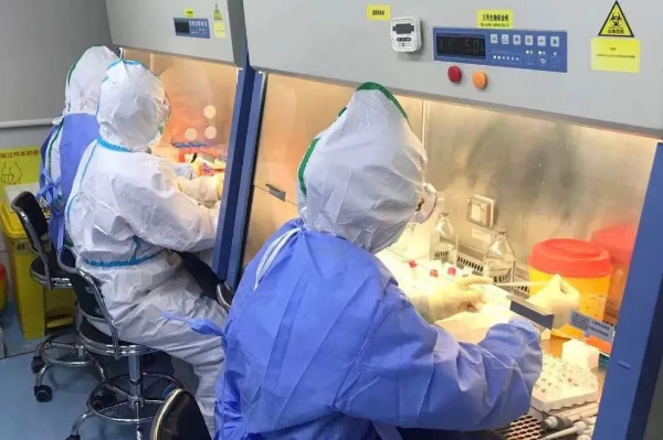 �¹�ԇ���������O��(IVD�O��)�W�������J�C����