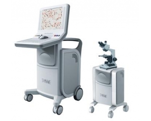 �t(y��)����еCE�J(r��n)�C